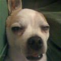 Im Still Sleeping