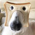 In Bread