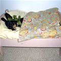 In My Bed