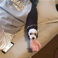 In The Arm