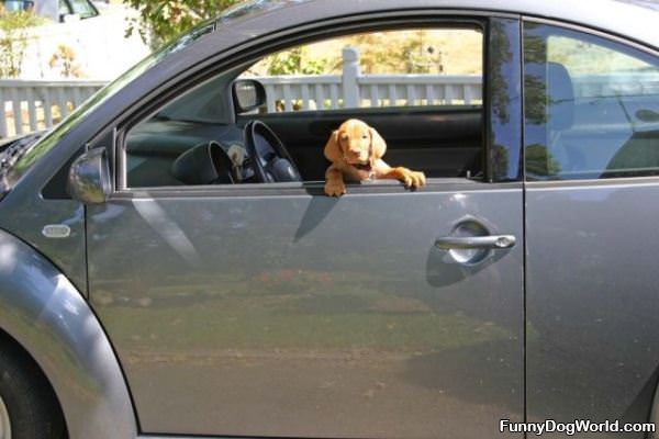 In The Car