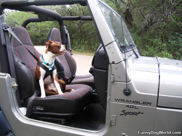 In The Jeep