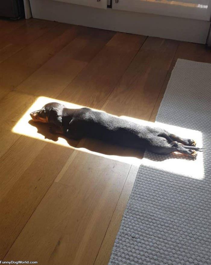 In The Sun Rays