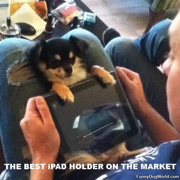 Ipad Holding Dog