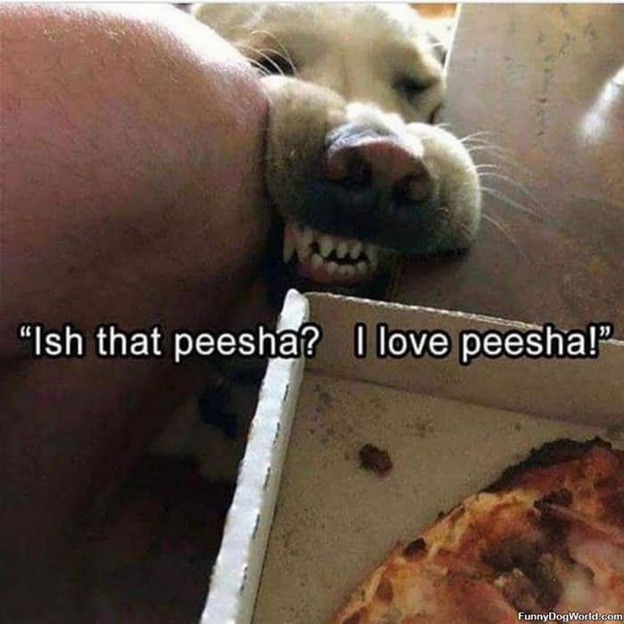 Is That Peesha