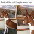 funny dog 1