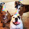 Its A Birthday Party
