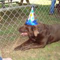 Its A Party Now