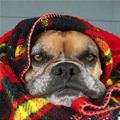 Its Cold Out Here