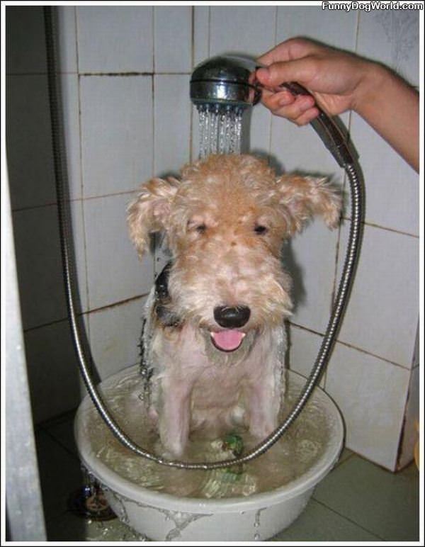 Its Mah Bath Time