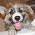 Its Washing Time