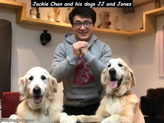 Jackie Chans Dogs