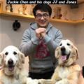 Jackie Chans Dogs