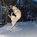 funny dog 4