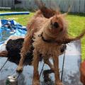 Just Doing My Shake Off