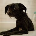 Just Had A Bath