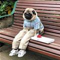 Just Having A Lazy Day