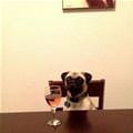 Just One Glass