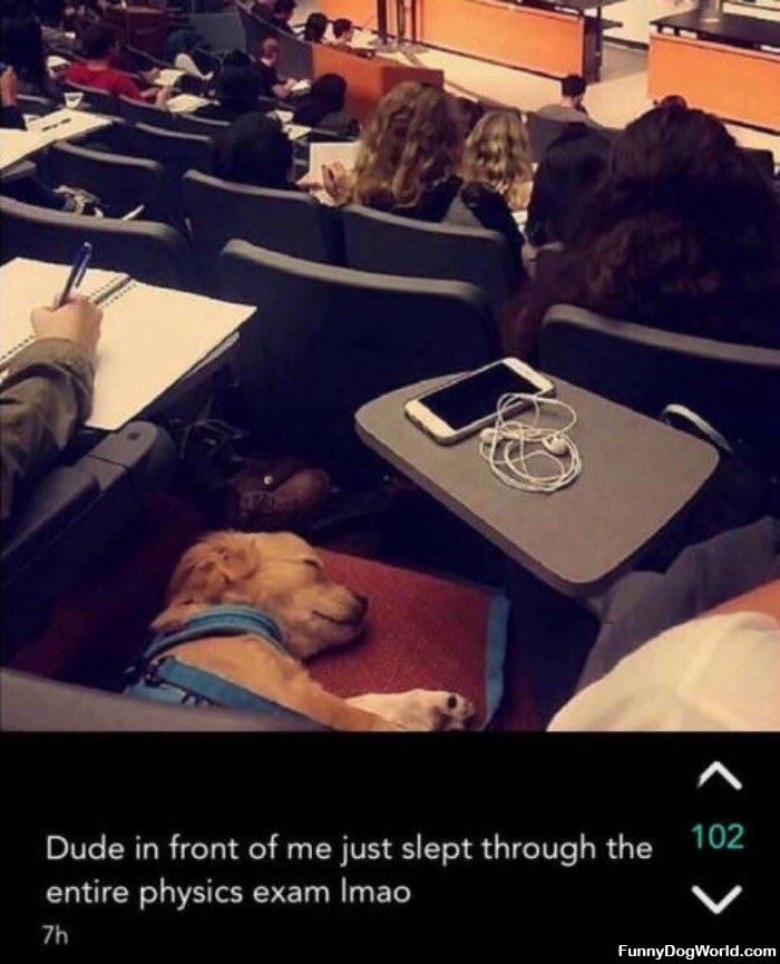 Just Sleeping Through The Entire Exam