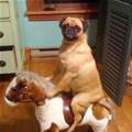 Just Taking A Horse Ride