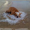 Keeping Cool