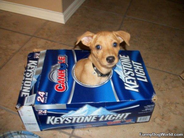 Keystone Light