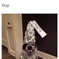 Kisses Please
