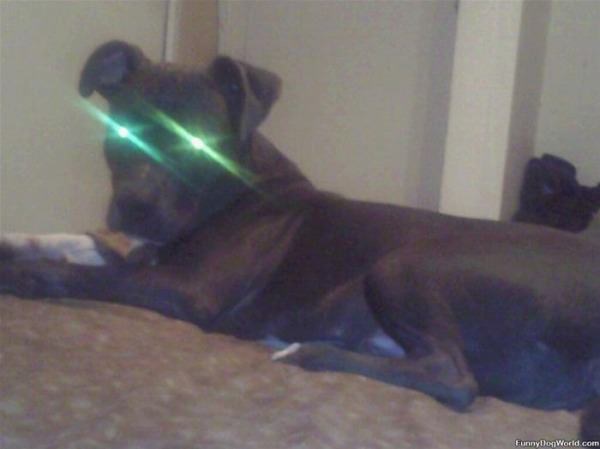 Laser Eyes