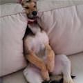 Lean Back