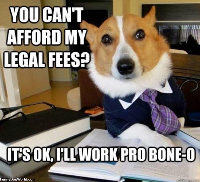 Legal Fees