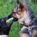 Let Go No You Let Go