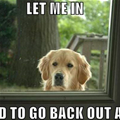 Let Me Back In