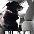 Let That One Friend Drive