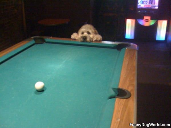 Lets Play Pool