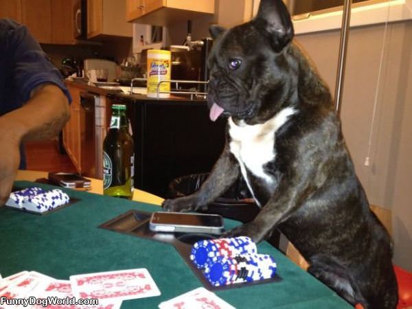 Lets Play Some Poker