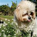 Licking Some Flowers