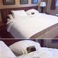 Living The Good Life