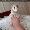 Long Distance Relationships