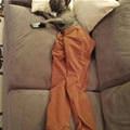Long Pants