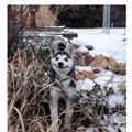 Look At Dis Stick