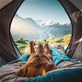 Lounging In Nature