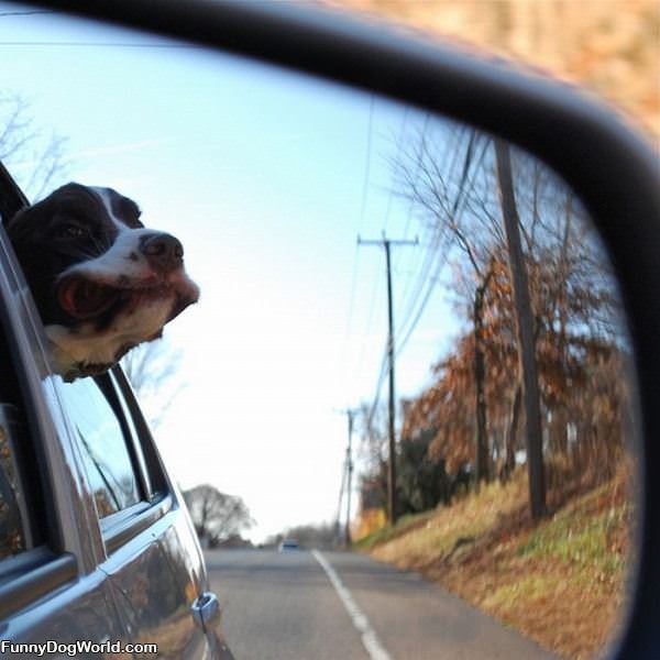 Love Car Rides