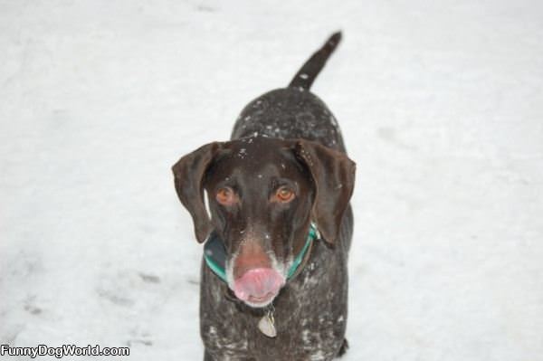 Loves The Snow