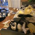 Made A Little Mess