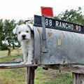 Mail