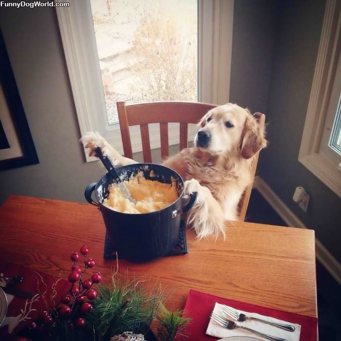 Making My Potatoes