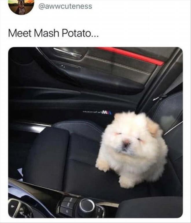 Mash Potato