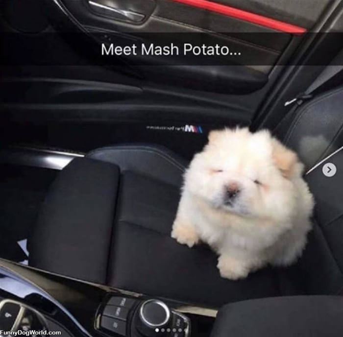 Mashed Potato