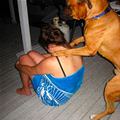 funny dog 1