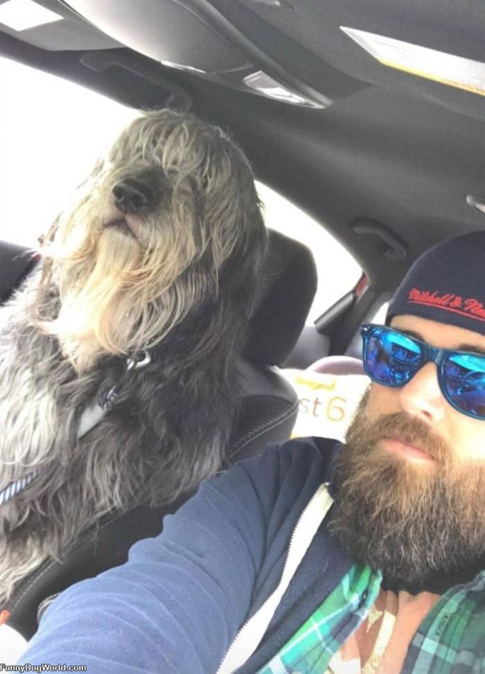 Matching Beards